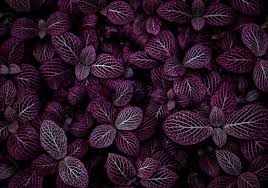Mathematical beauty is the aesthetic pleasure typically derived from the abstractness, purity, simplicity, depth or orderliness of mathematics. The Mystique Of Mathematics 5 Beautiful Math Phenomena