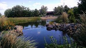 Перевод слова pond, американское и британское произношение, транскрипция, словосочетания, однокоренные слова, примеры использования. How To Reduce Algae In A Pond Healthy Ponds