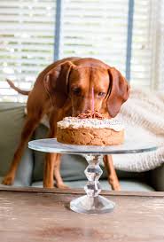 This year my dog toby turns four, and i'm bound and determined to make him a dog birthday cake. Peanut Butter Bacon Dog Birthday Cake Sprinkles Sea Salt