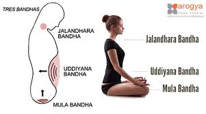 bandhas in yoga are energetic locks