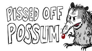 Pissed Off Possum Ep 1 Short Humor Comedy Animation Funny Video Cartoon Adult Swim Youtube Check out our cartoon possum selection for the very best in unique or custom, handmade pieces from our shops. pissed off possum ep 1 short humor comedy animation funny video cartoon adult swim