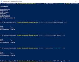 How To Turn On Message Queuing Server In A 64 Bit Environment Careware