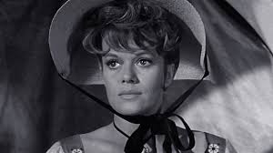 Watch Wagon Train The Nellie Jefferson Story S4 E27