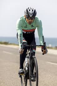 We did not find results for: Melanie Santos Joao Pereira E Joao Silva Irao Representar Portugal Nos Jogos Olimpicos Federacao De Triatlo De Portugal