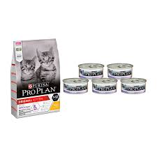 Pro Plan 10 Kg Kedi Mamasi 10 Kg Tavuklu Bu Mudur