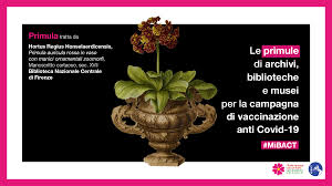 Because most coronavirus vaccines require two doses. Il Mibact Sostiene La Campagna Di Vaccinazione Anti Covid 19 Biblioteca Nazionale Centrale Di Firenze