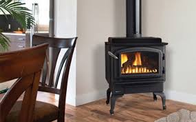 Kalor stoves are the most efficient and reliable wood pellet stoves on the market and are offered at extremely competitive prices. 6 Best Pellet Stoves Reviews Installation Guide 2021