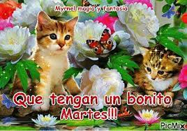martes - GIF animado gratis - PicMix