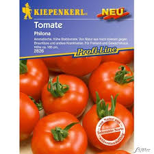 Free shipping for many products! Tomaten Philona Von Garten Schluter Auf Blumen De Kaufen