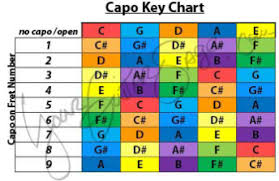 How To Use A Guitar Capo The Right Way I Played Guitar For