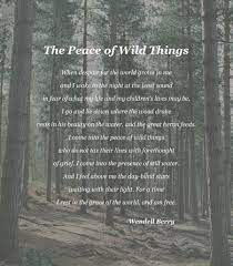  The Peace Of Wild Things Wendell Berry 1797 2047 Oc Imgur Wendell Berry Quotes Nature Poem Nature Quotes