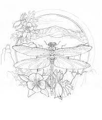 Bergsma.com is the online store for the jody bergsma gallery. Pin On Fun Stuff