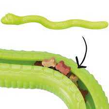 Snakes live in almost every corner of the world. Snack Snake