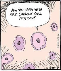 We did not find results for: Science Cell Jokes