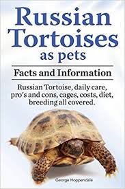 Care Sheet For The Russian Tortoise Testudo Agrionemys Horsfieldii This Site Is Dedicated To Providing Exchange Of Tortoise As Pets Russian Tortoise Tortoises