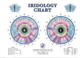 Free Iridology Chart Iriscope Iridology Camera