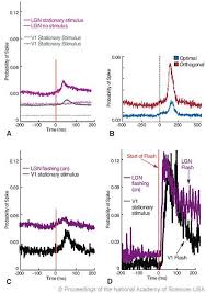 Image result for Visual Fixation