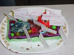 We did not find results for: The Incredible Edible Cell Ppt Download