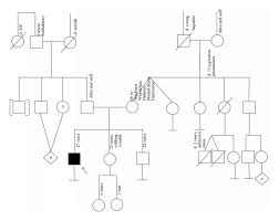 Family pedigree. Squares indicate men; circles indicate women; diagonal... 
