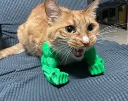 Funny Hulk Cat Costume Arms STL
