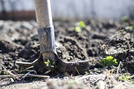 Unkraut an allen stellen und ecken. Garten Umgraben Zeitpunkt Gerate Und Anleitung Utopia De