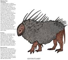 Image result for Exotheca