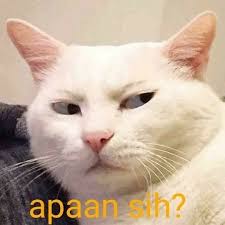 Lihat ide lainnya tentang sms lucu, gambar lucu, foto lucu. Watashi No Monogatari Naruto Various X Reader In 2021 Memes Funny Faces Cute Memes Cartoon Jokes