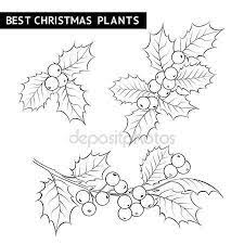 christmas mistletoe branch drawing stock vector 57232799 activitenoel affichen patrones de bordado navidad pintura en tela dibujo pages livre coloriage hibou