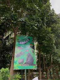 Pohon sisir/kaliage atau di sebut juga cudrania chochinsinensis adalah pohon atau tanaman yang bentuknya bergerombol dan merambat.habitatnya kebanyakan d. Duta Yaki Minsel Sisir Pasar Motoling