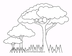 Today there are many flowers and ornamental plants that have charming colors. Springtime Coloring Page