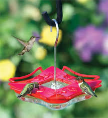 Check spelling or type a new query. Aspects Highview Square Hummingbird Feeder Humming Bird Feeders Backyard Birds Feeder