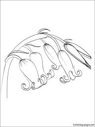 The base recipe comes from our friend jason logan who showed us how he makes and uses natural inks. Bluebell Coloring Page For Free Blue Bell Flowers Bluebell Tattoo Bee Painting
