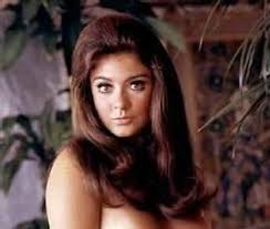 Cynthia myers 8x10 8 x 10 picture photograph december 1968 playboy playmate. 13 Amazing Pictures Of Cynthia Myers Irama Gallery