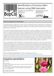 Image result for Impatiens mildbraedii