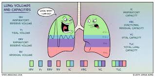 Lung Volumes And Capacities Medcomic