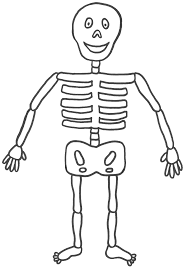 These fun halloween pictures are sure to get kids in the spirit of halloween. Felden Questing Or Adventures In Functional Integration Skeleton For Kids Skeleton Drawings Drawing For Kids
