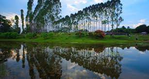 Tempat wisata alam di pekanbaru berikutnya yang cukup populer di pekanbaru yaitu air terjun yang diberi nama air terjun guruh gemurai. 26 Objek Wisata Pekanbaru Terbaru Terbaik Tokopedia Blog