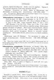 Image result for Scleria foliosa