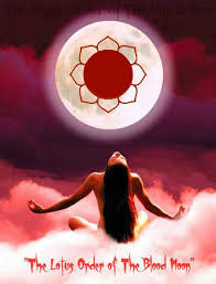 The Magi Order Of The Black Sun Home Facebook What is the magi watching order? the magi order of the black sun home