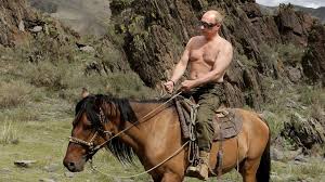 Putin bear r 'putin's tiger' devours a bear in russia. Coronavirus Putin Memes Flood Social Media Bbc News