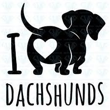 This file is for personal use only. Pin On Animals Svg