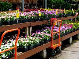 Your garden can get a second. The Best The Home Depot Shopping Hack Revealed The Home Depot Plant Return Policy