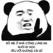 Gấu trúc xua tay bố mẹ ở nhà còng lưng nuôi đi học, yêu đương cái gì - Ảnh  chế meme