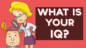 Check spelling or type a new query. What Is Your Iq Fun Tests Youtube