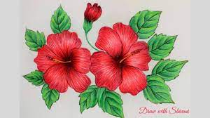 Nov 30, 2019 · to draw a cartoon person, make the head bigger than you would if you were drawing a realistic person since cartoons usually have exaggerated proportions. Hibiscus Sketching Using Pencil Colors How To Draw Hibiscus Flower Youtube