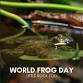 World Frog Day event image