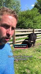 David Schwing's Instagram, Twitter & Facebook