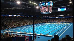 Sizes, shapes, cost, pros, & cons. How Big Is An Olympic Swimming Pool