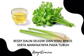 Jahe memiliki nama latin zingiber officinae dimana populer sebagai. Resep Daun Seledri Dan Serai Rebus Serta Manfaatnya Pada Tubuh