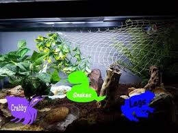 Fish Tank Pet Labels Pet Name Label Reptile Tank Accessories Bearded Dragon Tank Turtle Ta Reptile Tank Pet Names Pets